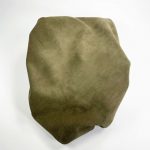 forest-green