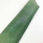 mini-tejus-verde